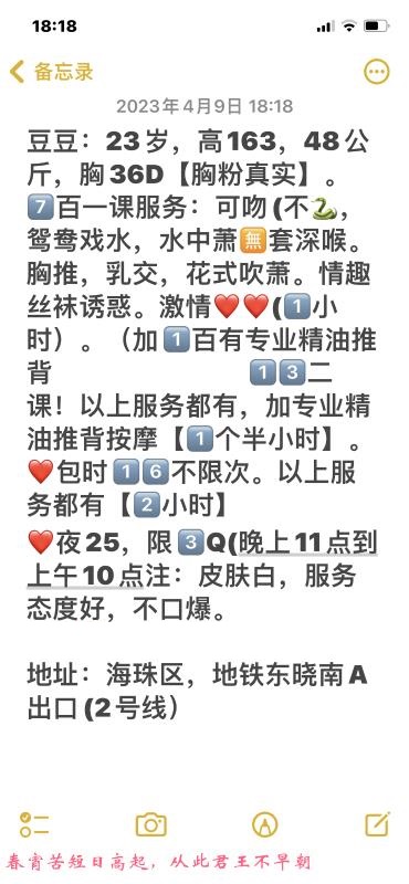 广州海珠豆豆 第1张
