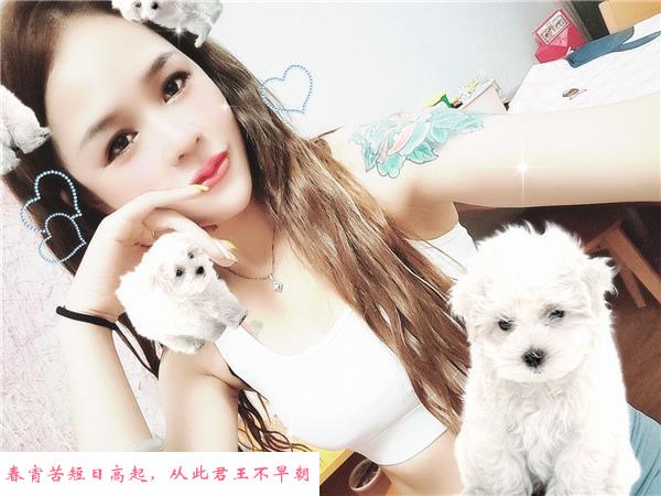 河西带皮肤小姐姐 第1张