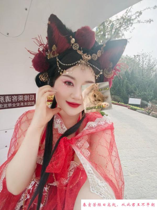 武胜路奶兔 第1张